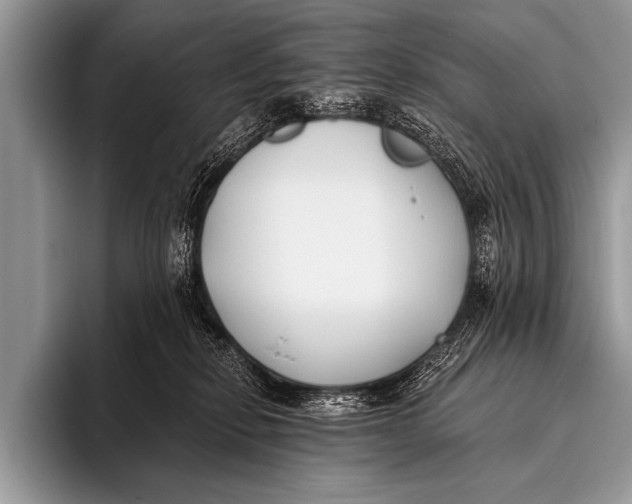 X0000096180278200802081505