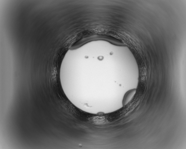 X0000096180279200802081505