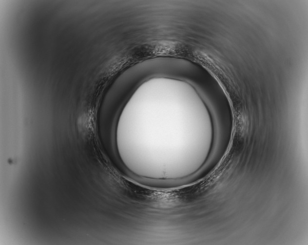 X0000096180280200802081505