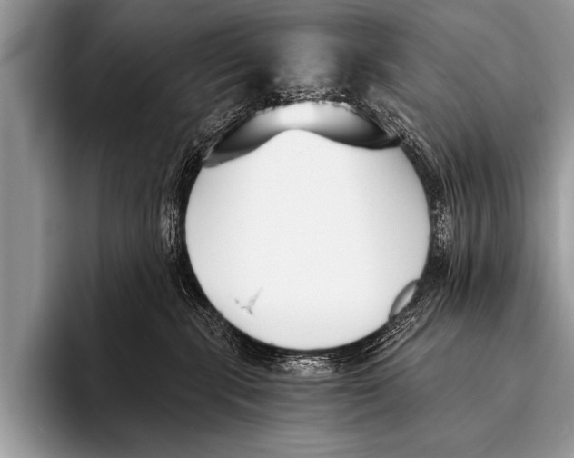 X0000096180283200802081505