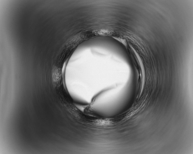 X0000096180284200802081505