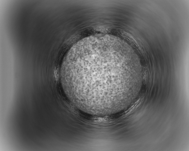 X0000096180285200802081505