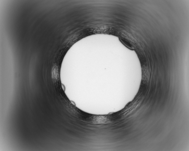 X0000096180287200802081506