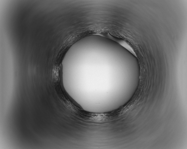X0000096180288200802081506