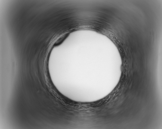 X0000096180289200802081505