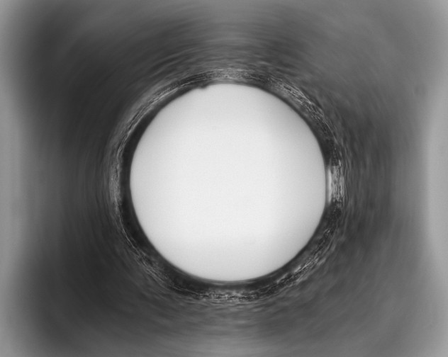 X0000096180291200802081505