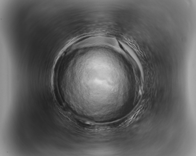 X0000096180292200802081505