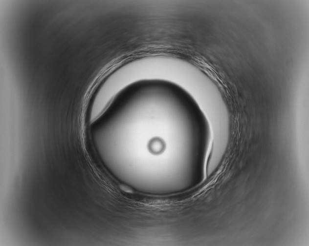 X0000096180293200802081505