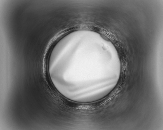 X0000096180294200802081505