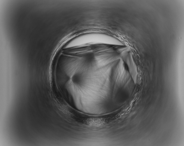 X0000096180296200802081505
