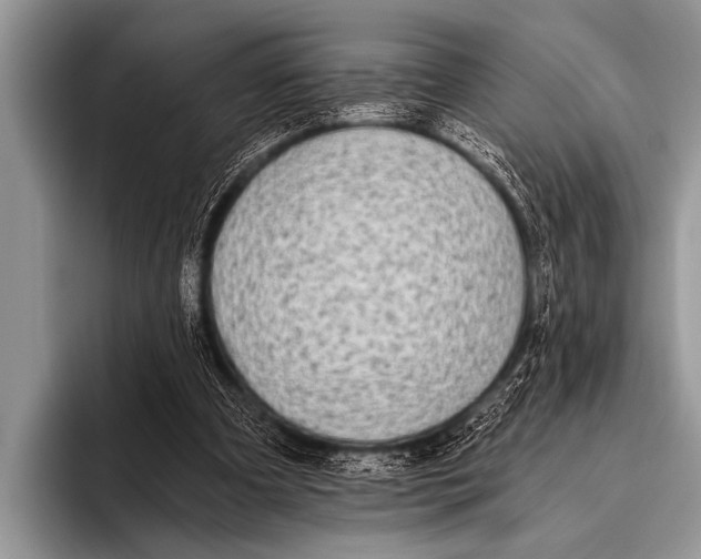 X0000096180297200802081505