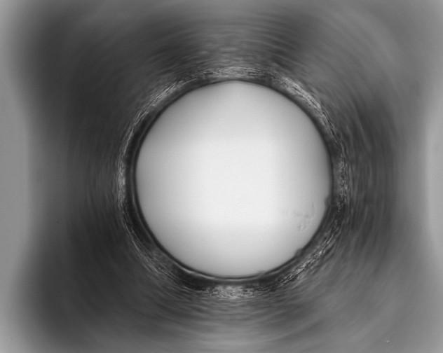 X0000096180298200802081505