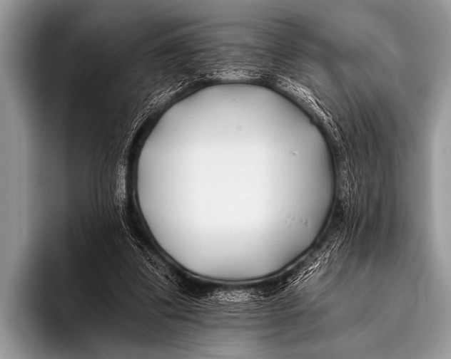 X0000096180299200802081505