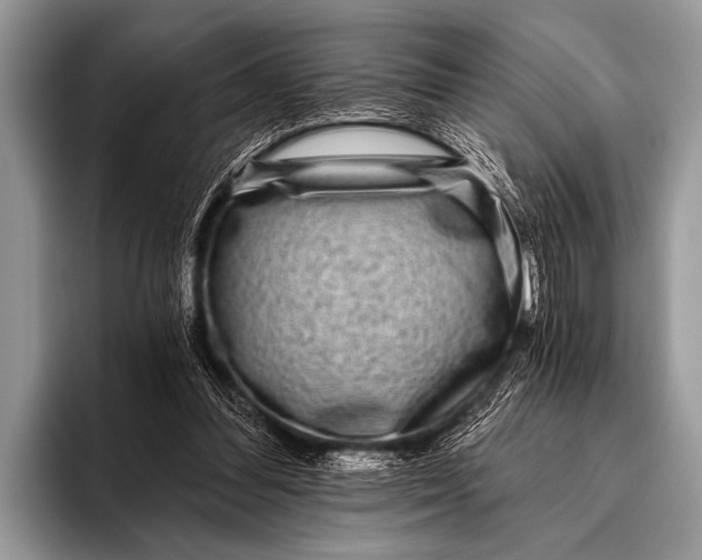 X0000096180300200802081505