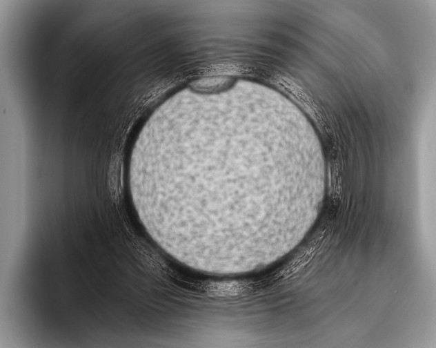 X0000096180301200802081505
