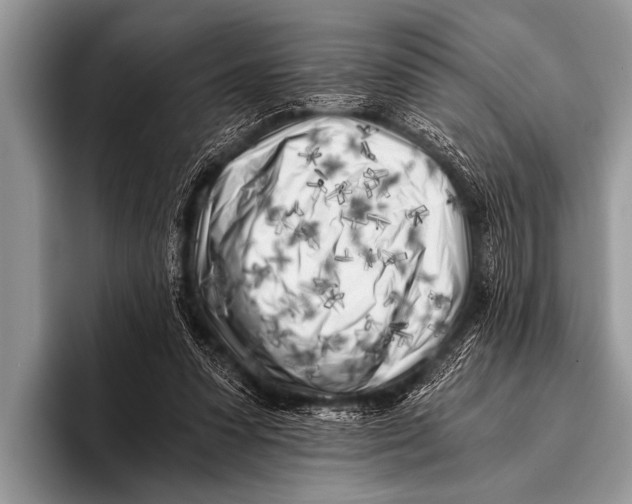 X0000096180303200802081505