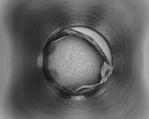 X0000096180304200802081505