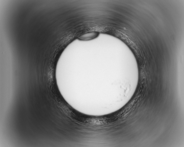 X0000096180305200802081505