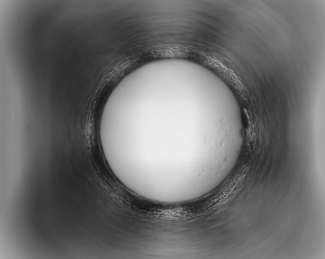 X0000096180306200802081505