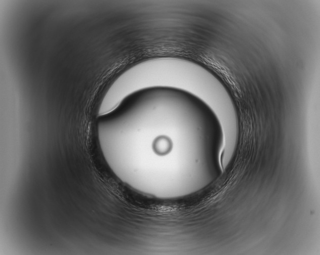 X0000096180308200802081505