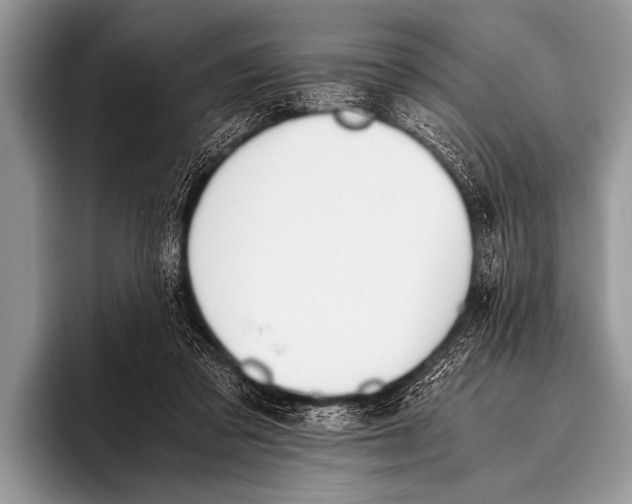 X0000096180309200802081505