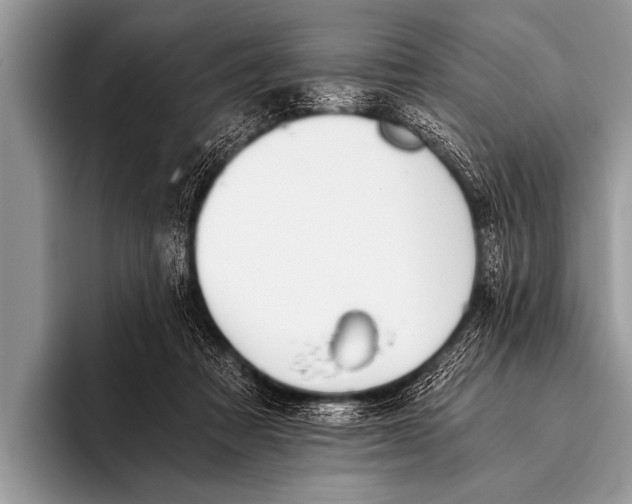 X0000096180313200802081505