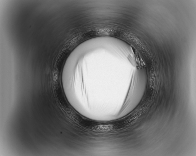 X0000096180314200802081505