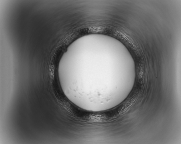 X0000096180315200802081505