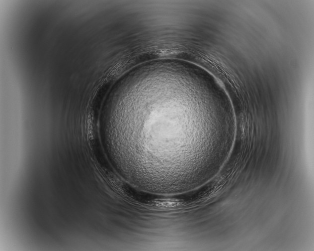X0000096180316200802081505