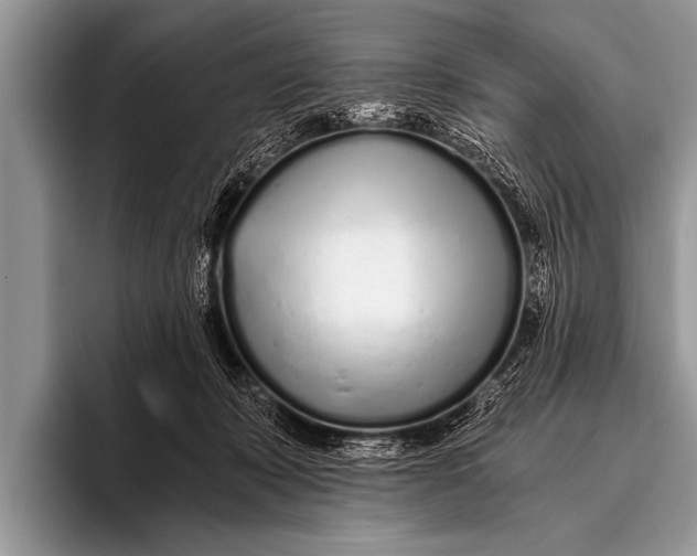 X0000096180319200802081505