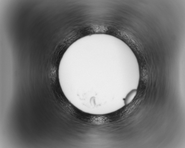 X0000096180321200802081504