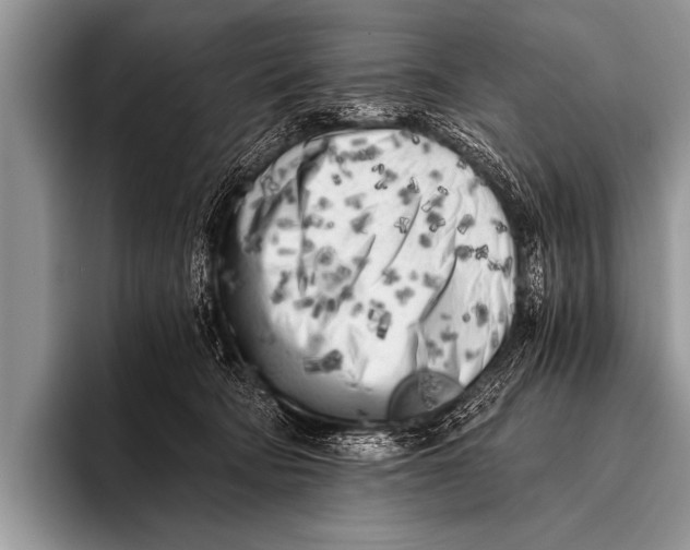 X0000096180322200802081504