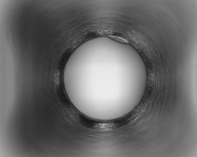 X0000096180323200802081504