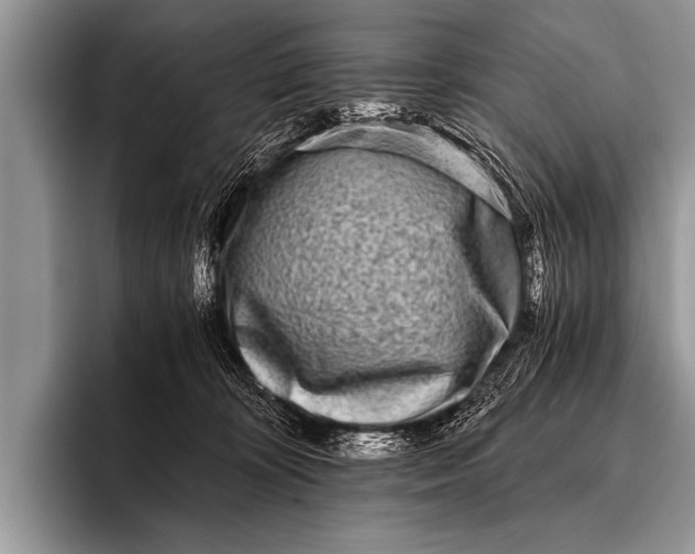 X0000096180324200802081504