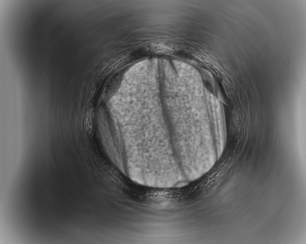 X0000096180325200802081504