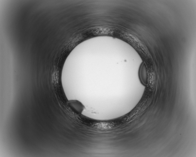 X0000096180326200802081504