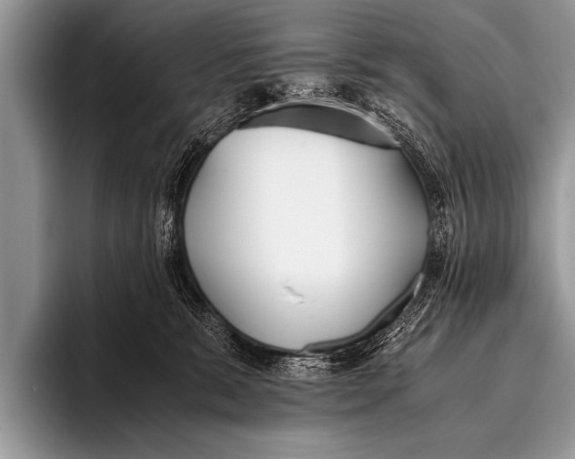 X0000096180327200802081504