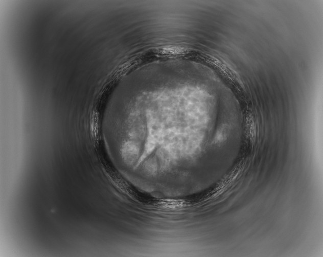 X0000096180328200802081504