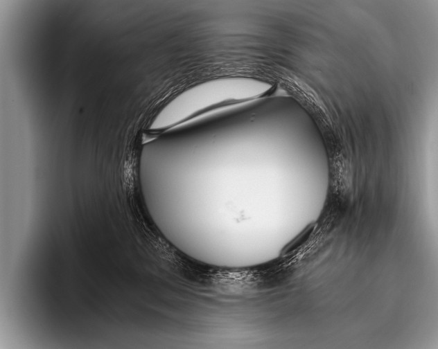 X0000096180329200802081504