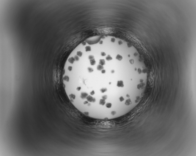 X0000096180330200802081504