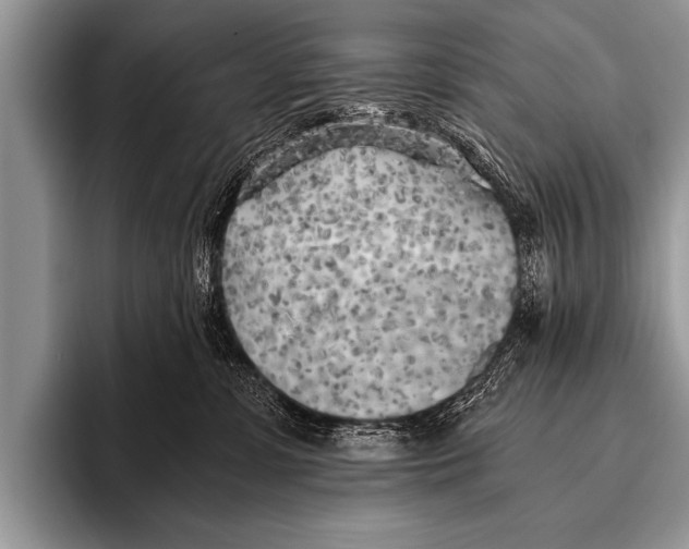 X0000096180331200802081504