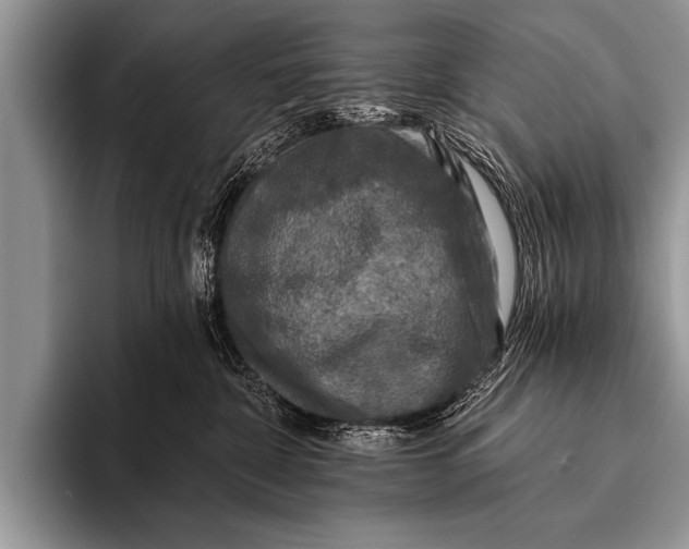 X0000096180332200802081504