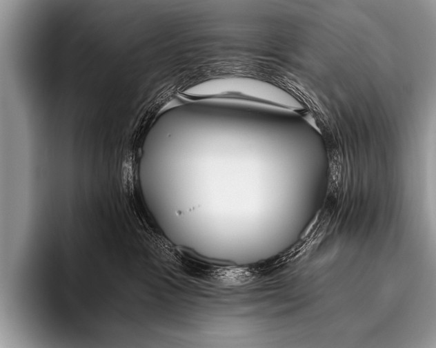 X0000096180333200802081504