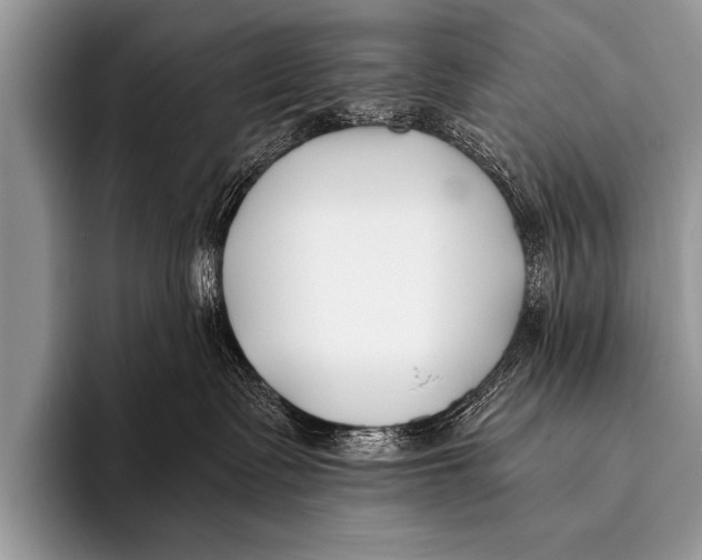X0000096180335200802081504