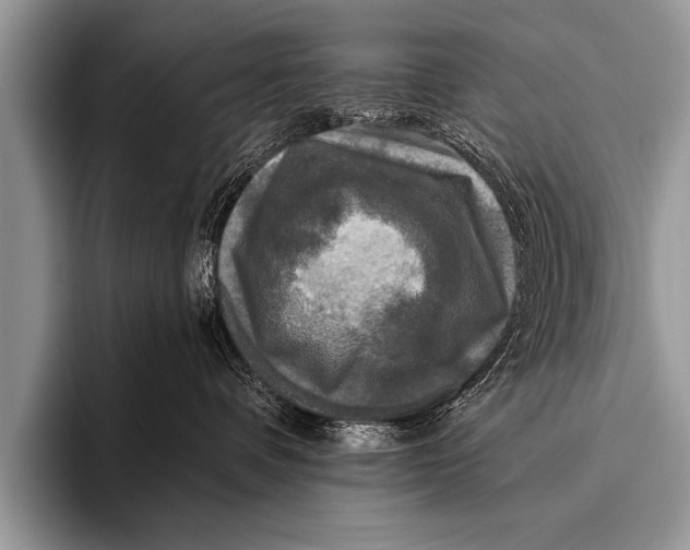 X0000096180336200802081504