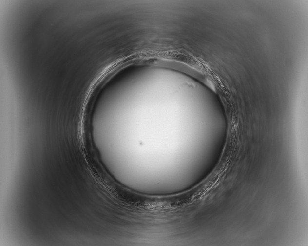 X0000096180340200802081504
