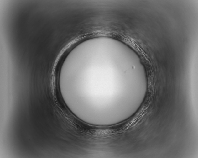 X0000096180342200802081504