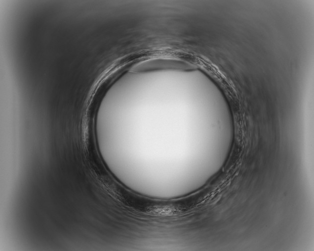 X0000096180344200802081504