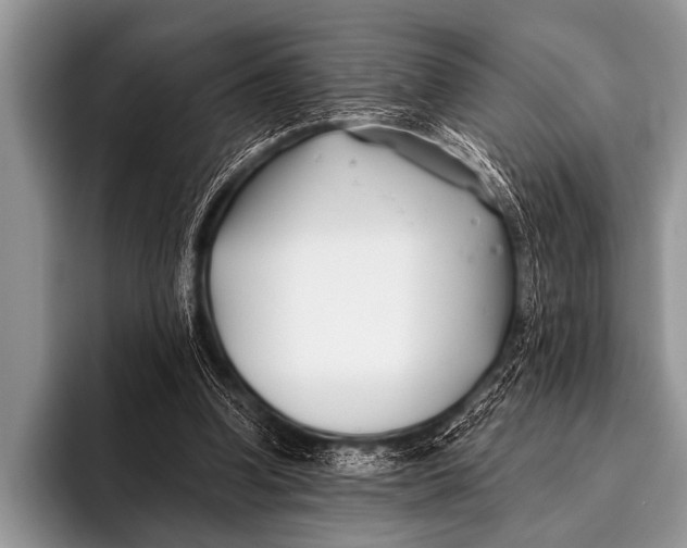 X0000096180346200802081504