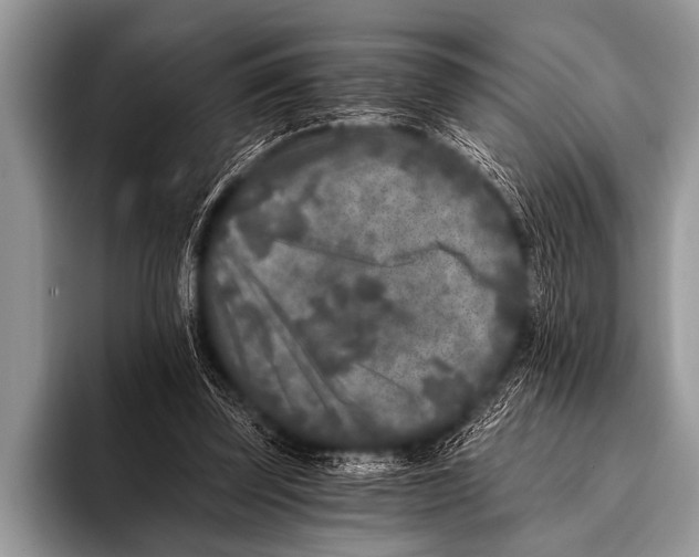 X0000096180347200802081504